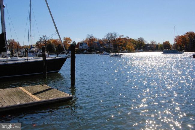 APT-202 - 1136 Cove Rd, Condo with 1 bedrooms, 1 bathrooms and null parking in ANNAPOLIS MD | Image 22