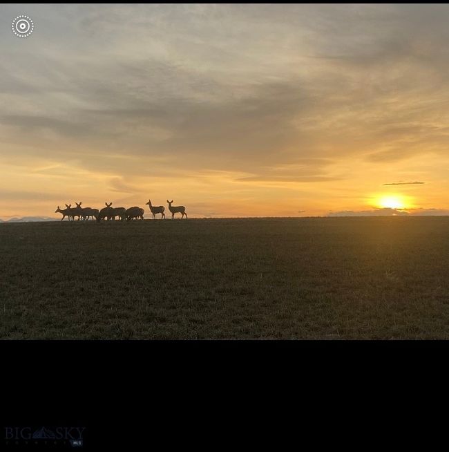 Neighbors on the land | Image 22