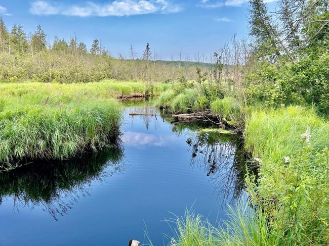 333-ACRES - ON Double Bend Rd, House other with 2 bedrooms, 1 bathrooms and null parking in Argonne WI | Image 5