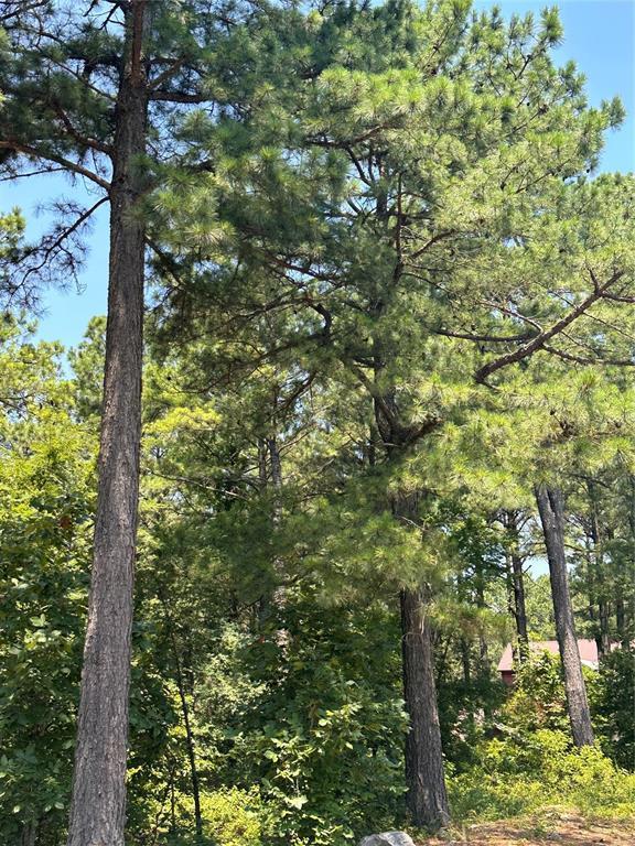 Land in Broken Bow