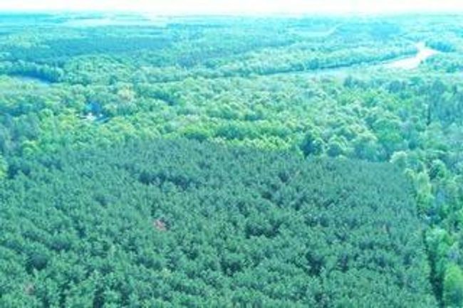 Heavily wooded.jpeg | Image 50