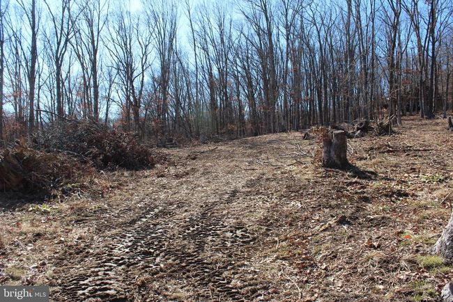 141 Hillcrest Dr, Home with 0 bedrooms, 0 bathrooms and null parking in New Creek WV | Image 7