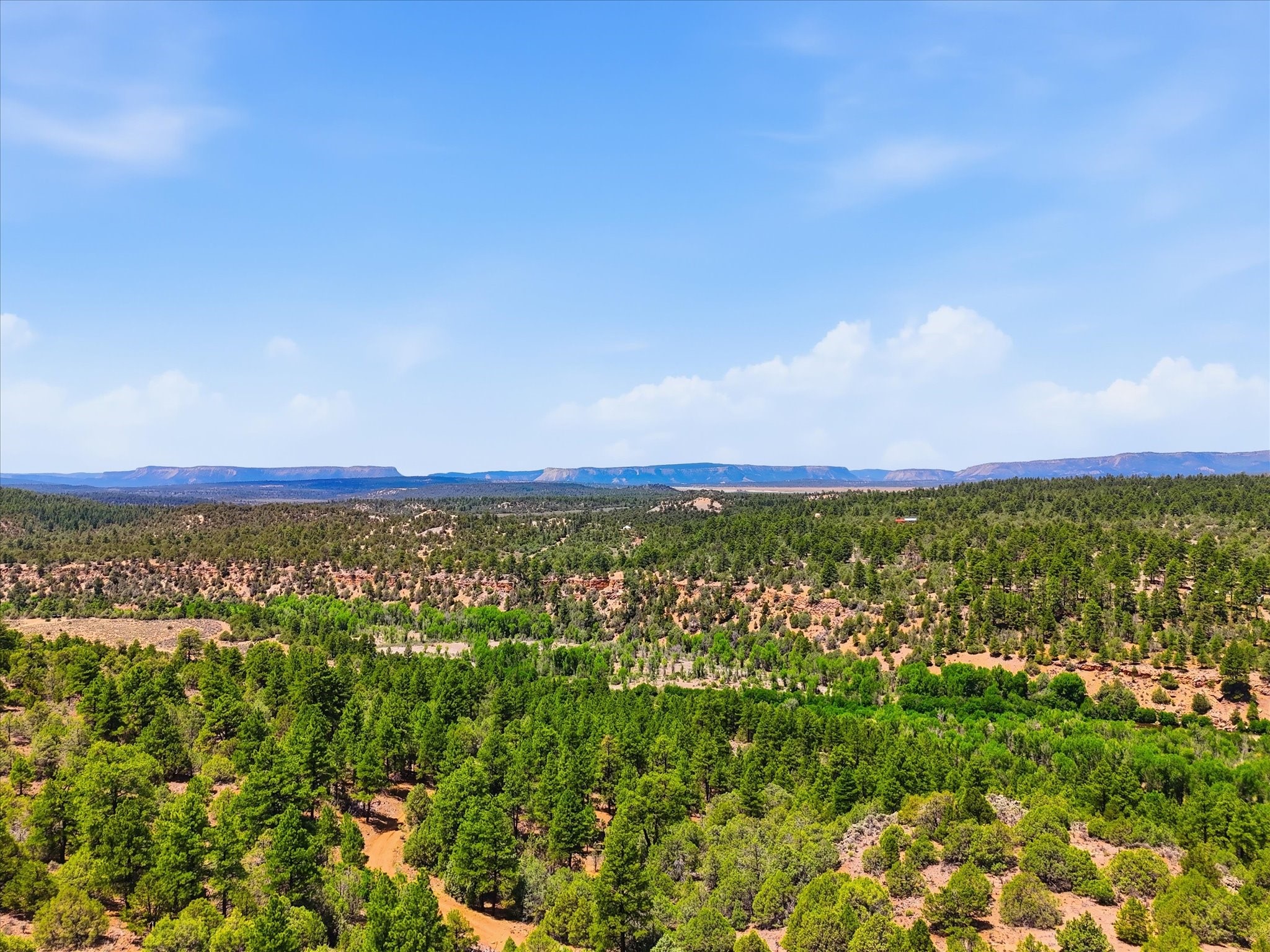 Farm in Tierra Amarilla 3