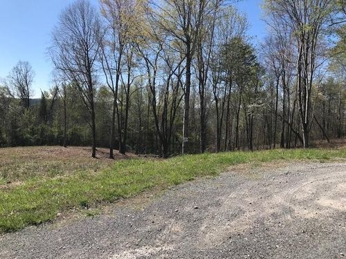 9 Piney View Drive, Spring City, TN, 37381 | Card Image