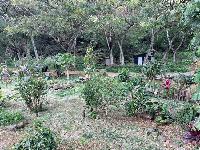 Small fruit and flower orchard ready to pick | Image 10
