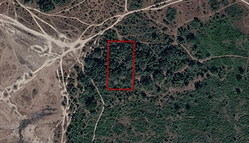 0 Nw 306th St, Okeechobee, FL, 34972 | Card Image