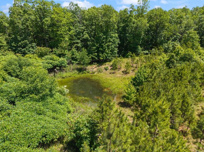 699 Almond Rd, House other with 3 bedrooms, 1 bathrooms and null parking in Jerusalem AR | Image 23