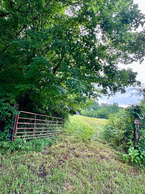 3635 Kenyon Rd, Parrottsville, TN, 37843-3041 | Card Image