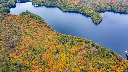 9-1310 Camel Lake Rd, Bracebridge, ON, P1L1X4 | Card Image
