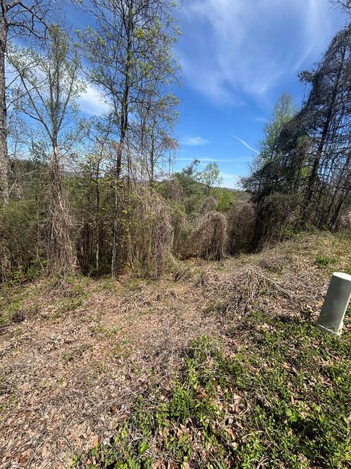 200 Carolina Fox Cir, Murphy, NC, 28906 | Card Image