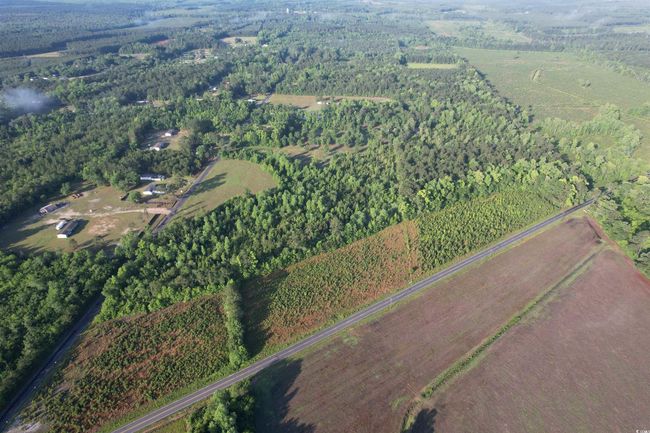 7 Old Pee Dee Rd., Home with 0 bedrooms, 0 bathrooms and null parking in Hemingway SC | Image 6