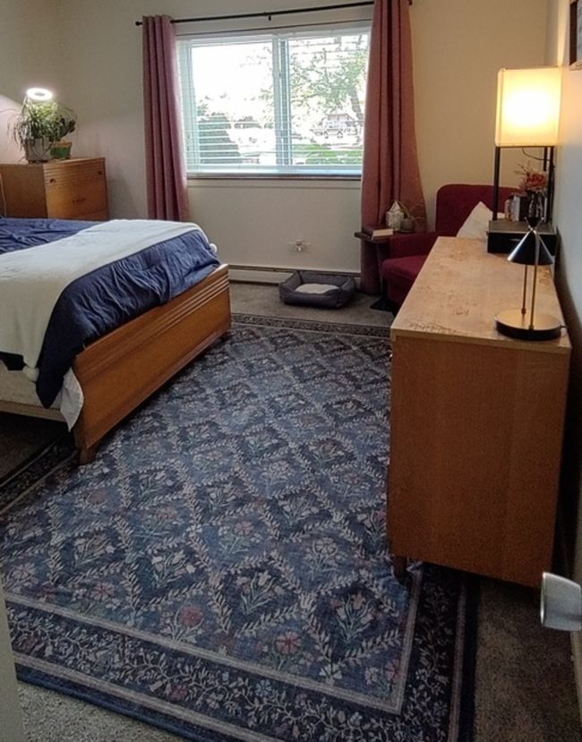APT-1C - 100 W Park Circle Dr, Condo with 1 bedrooms, 1 bathrooms and 1 parking in Wheaton IL | Image 5