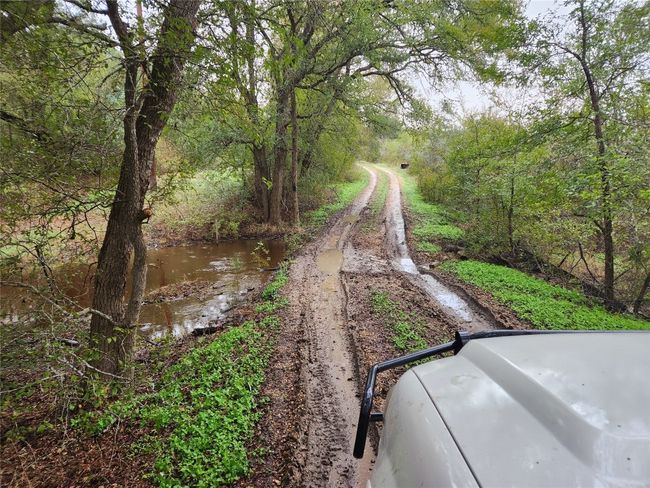 View of road with a view of trees | Image 15