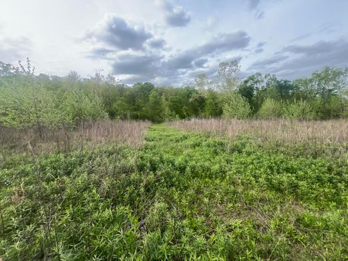 0000 Cedar Gap Central Lane, Mansfield, MO, 65704 | Card Image
