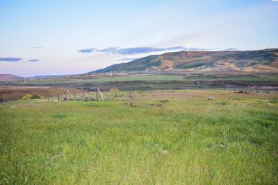 PARCEL-5C-2007-ACRES - TBD Knox Rd, #5 C, Home with 0 bedrooms, 0 bathrooms and null parking in Benton City WA | Image 1