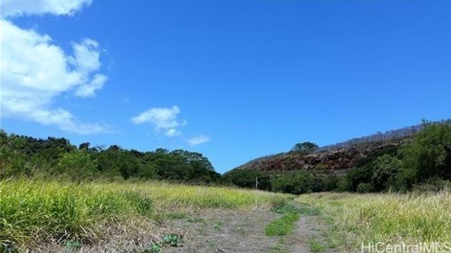 1.6+ open stream front acres on Anahulu river. | Image 12