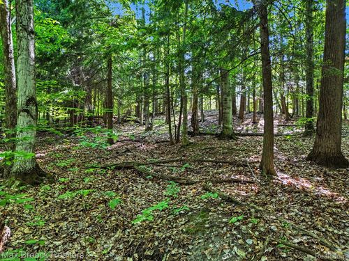 125 Legend Trail, Custer Township, MI, 49615 | Card Image