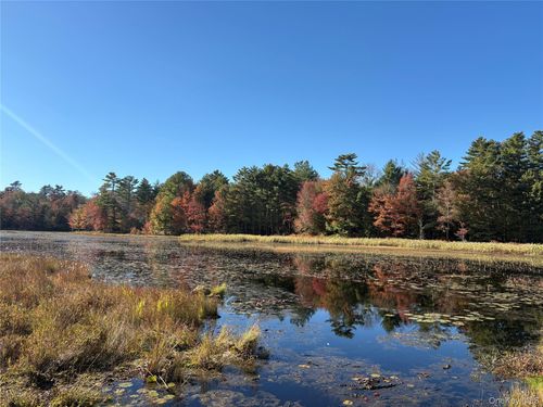 Lot 4 Deer Meadow Rd, White Lake, NY, 12786-7019 | Card Image