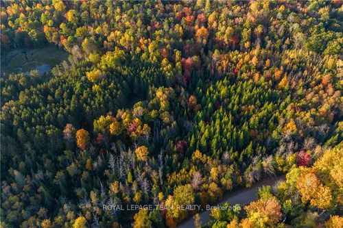Lot 14 Con 14 Burnt Bridge Rd, Palmer Rapids, ON, K0J2E0 | Card Image