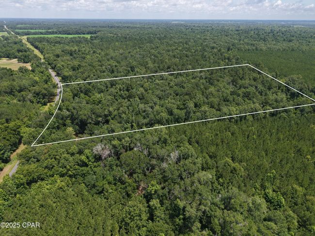 0 River Rd. Road, Home with 0 bedrooms, 0 bathrooms and null parking in Bascom FL | Image 5