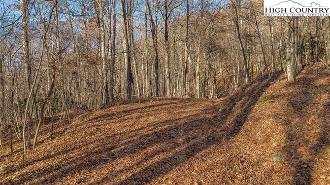 Your first view of the property as you enter from Hidden Light Lane | Image 11