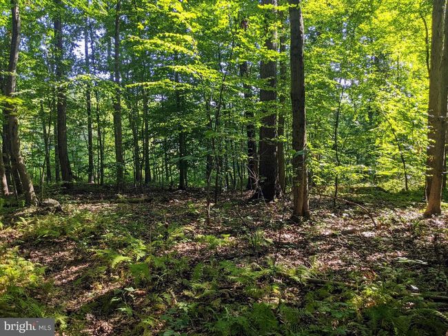21 Hawthorne Cir, Home with 0 bedrooms, 0 bathrooms and null parking in ELVERSON PA | Image 8