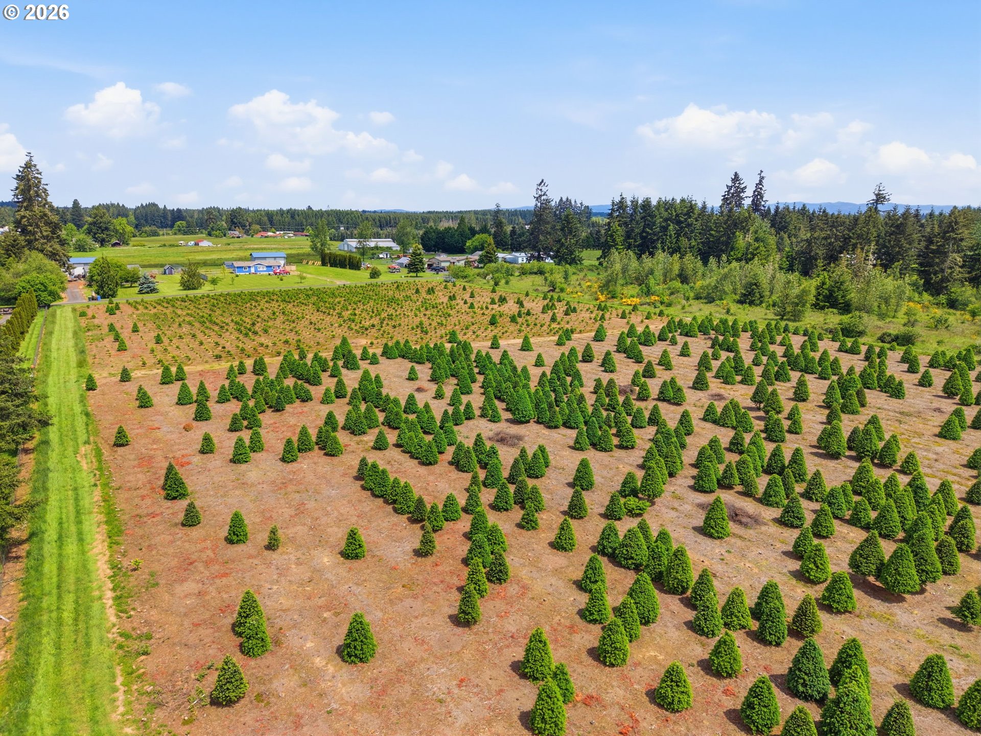 Land in Winlock 5