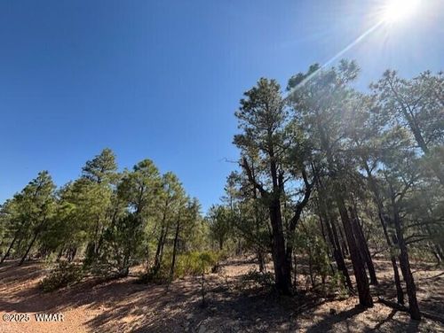 181 Cliffrose Ln, Show Low, AZ, 85901-2741 | Card Image