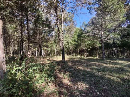 000 State Highway 101, Bakersfield, MO, 65609 | Card Image