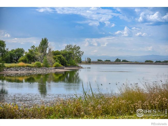 6968 Byers Ct, House other with 3 bedrooms, 3 bathrooms and 2 parking in Timnath CO | Image 35
