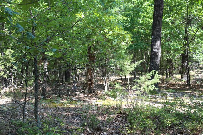 Lot 10-7 | Image 9