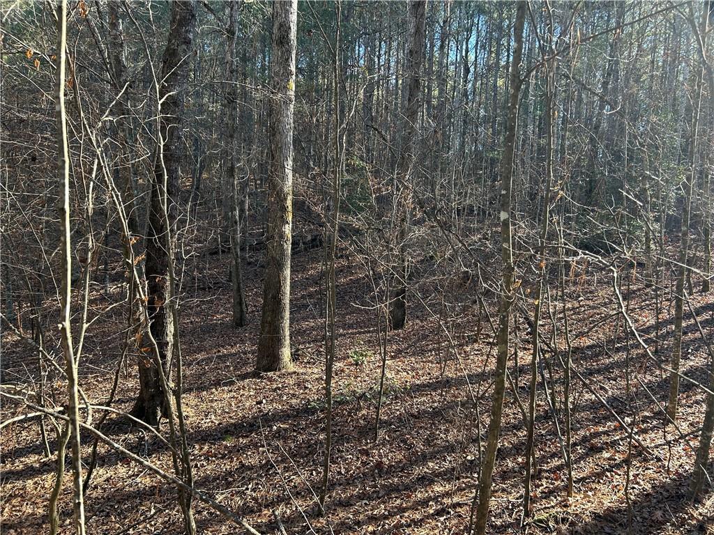 Land in Demorest 5