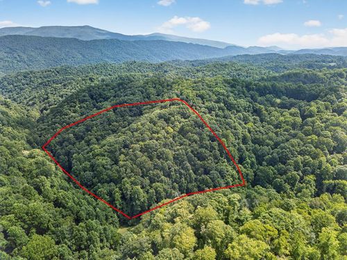 TBD Earth Rd, Meadowview, VA, 24361 | Card Image