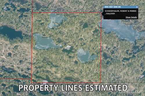 39+ Acres Tbd Road, Germfask, MI, 49836 | Card Image