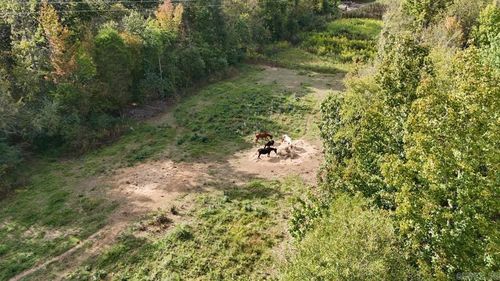 184 Peaceful Place Rd, Caddo Gap, AR, 71935-8514 | Card Image