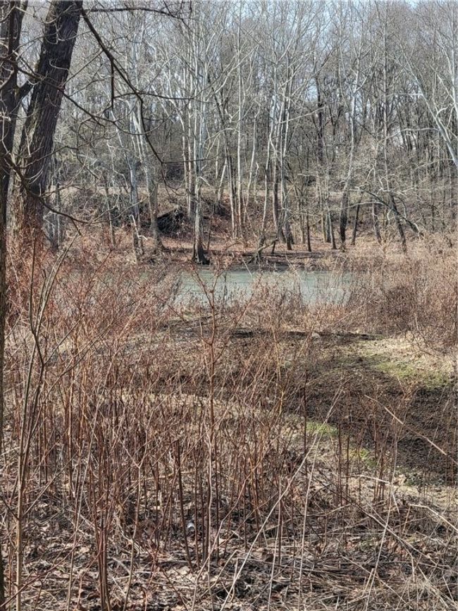 Back of the Lot, looking towards the River | Image 9