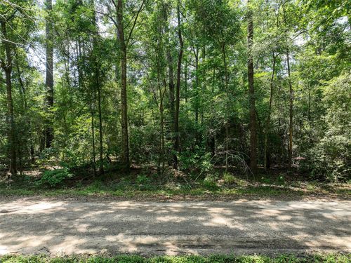 0 Fairway Dr, New Caney, TX, 77357 | Card Image