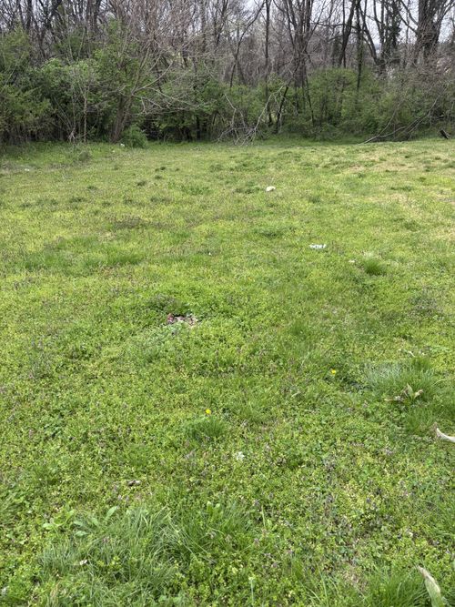 0 W 3rd St, Columbia, TN, 38401 | Card Image