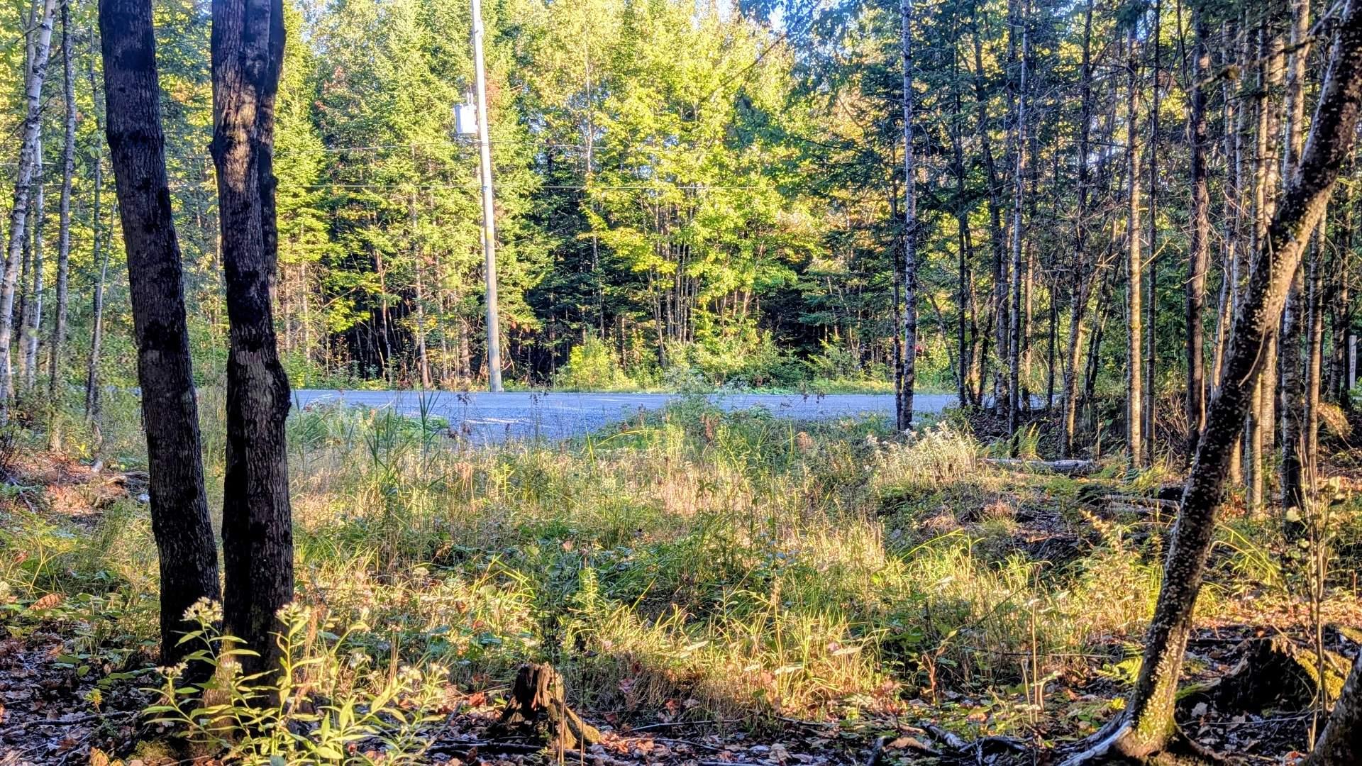 Land in Stratford 5