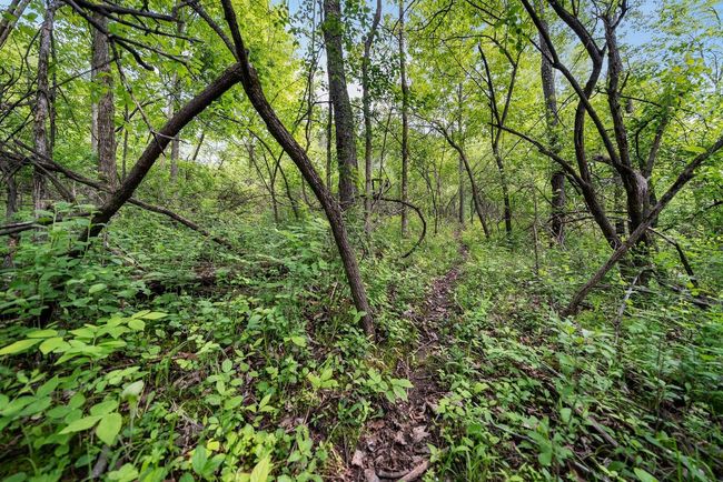 Lt1 County Highway E, Home with 0 bedrooms, 0 bathrooms and null parking in Hartford WI | Image 40