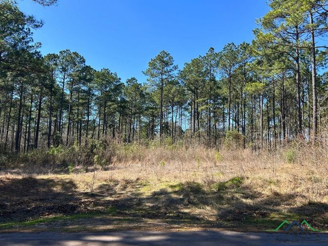 60 ac TBD Cr 1453, Home with 0 bedrooms, 0 bathrooms and null parking in Linden TX | Image 12