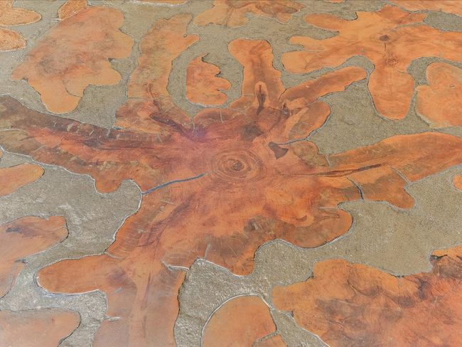 Hand Inlaid Cypress Tree Flooring | Image 9