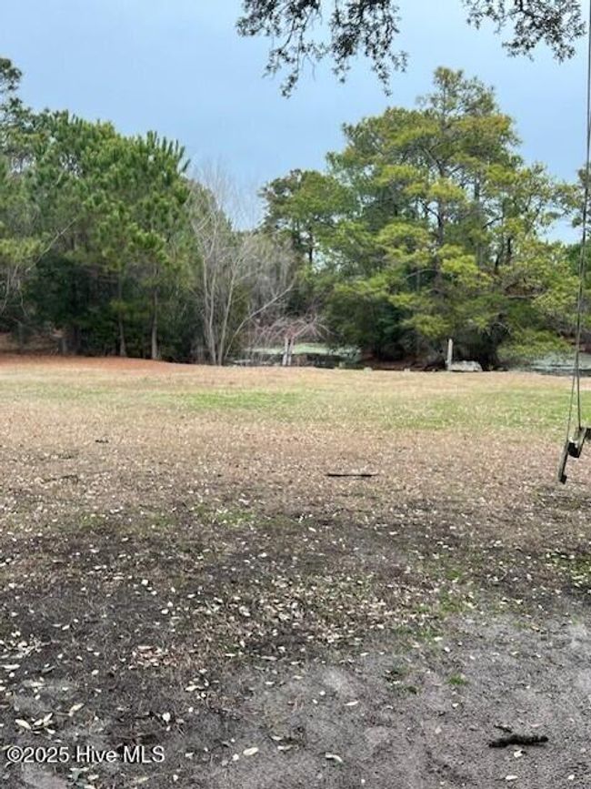 Back Yard | Image 7