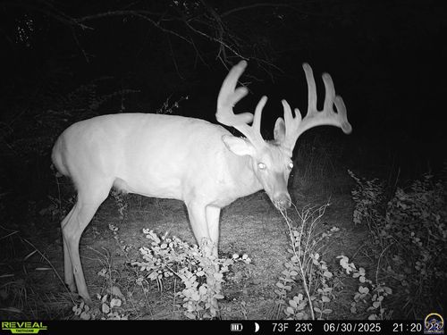 11108 S Berryton Rd, Carbondale, KS, 66414 | Card Image