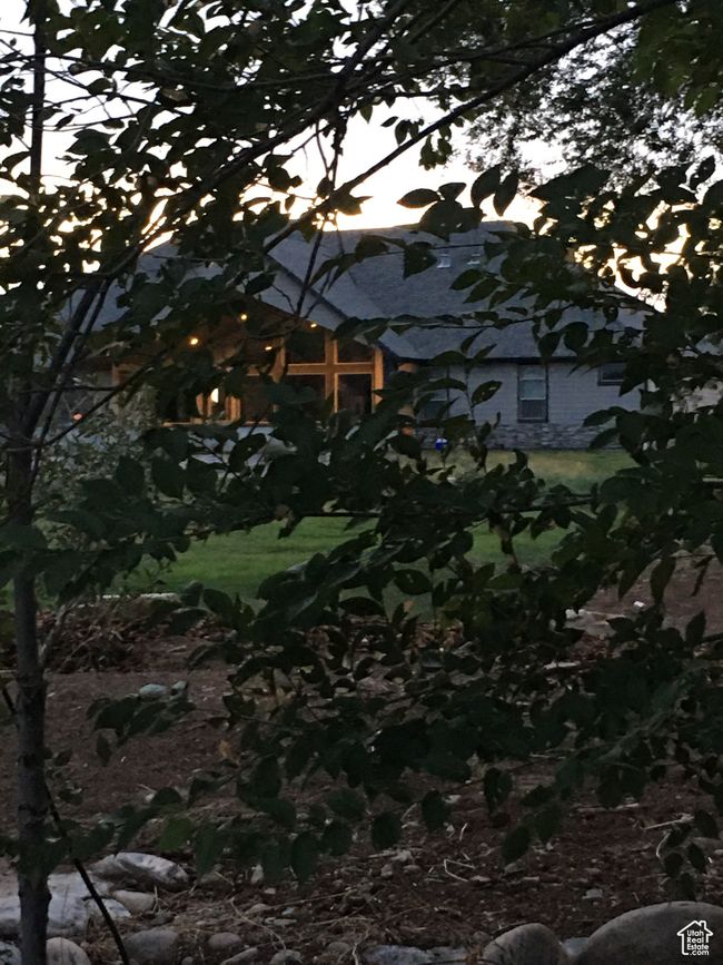 View of local wilderness | Image 46