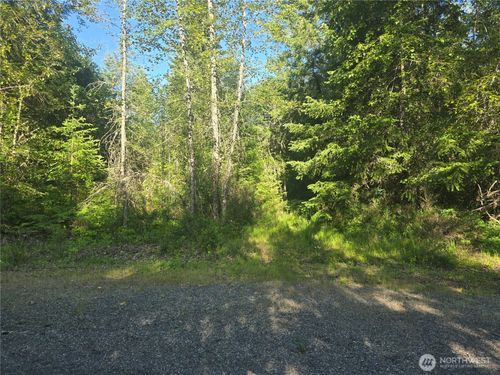 13721 Starflower Ln Se, Yelm, WA, 98597 | Card Image