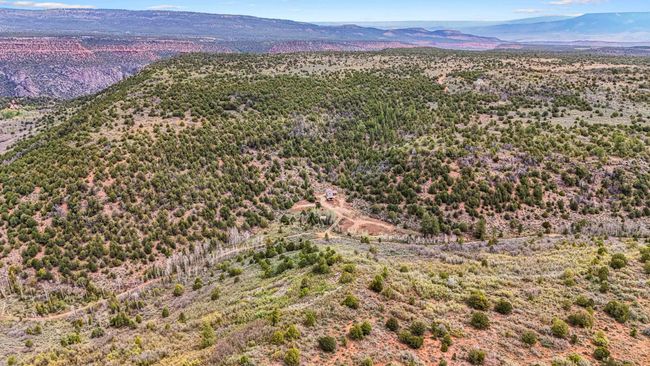 7465 Uncompahgre Divide Rd, Home with 3 bedrooms, 1 bathrooms and null parking in Whitewater CO | Image 33