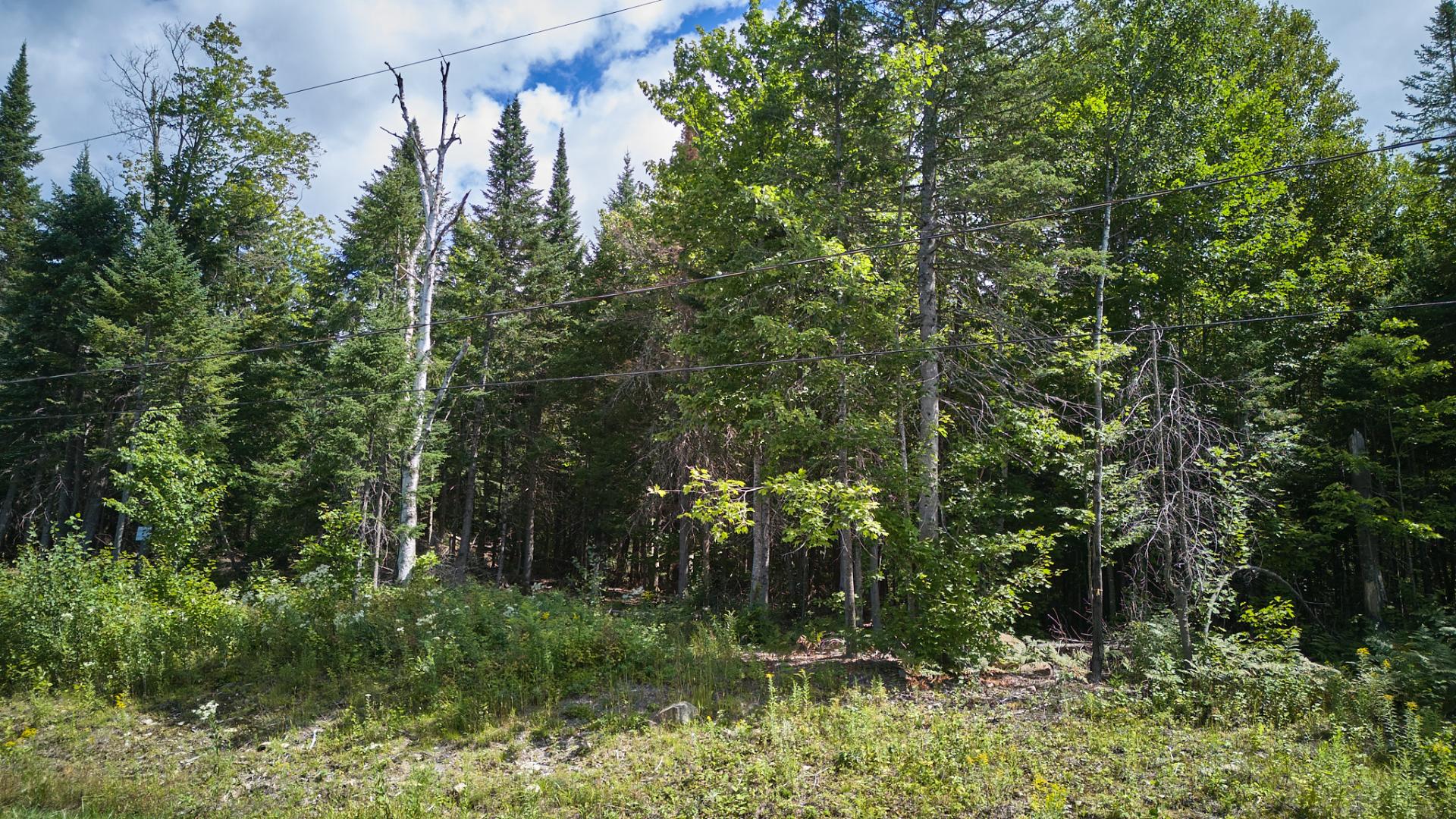 Land in Morin-Heights 5