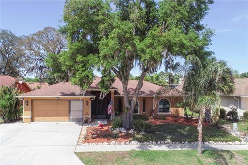5641 Mossberg Dr, NEW PORT RICHEY, FL, 34655-1138 | Card Image