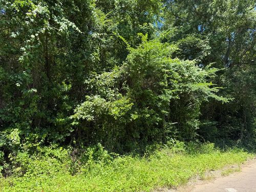0 Mcniel St, Palestine, TX, 75801 | Card Image